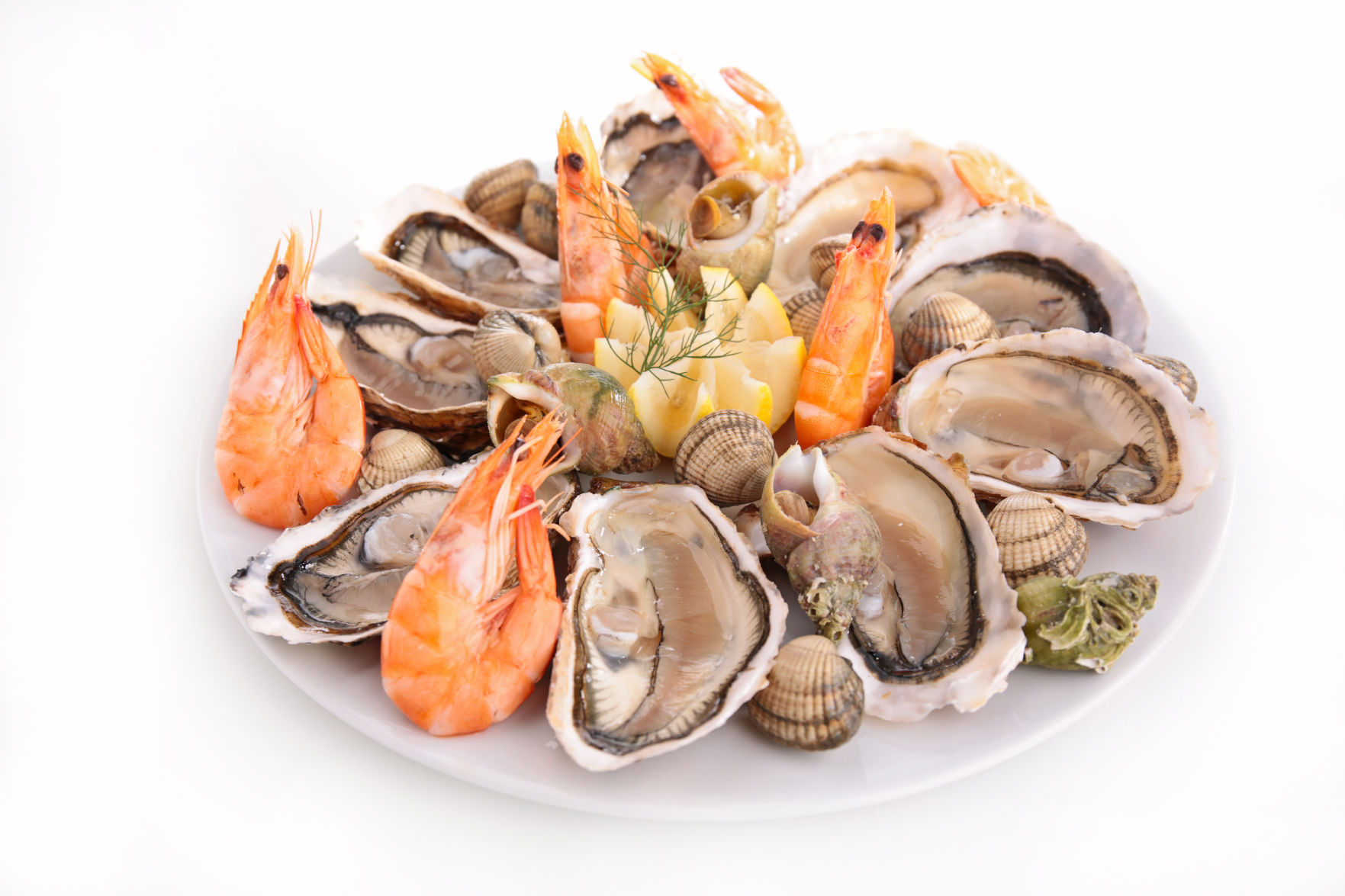 seafood2